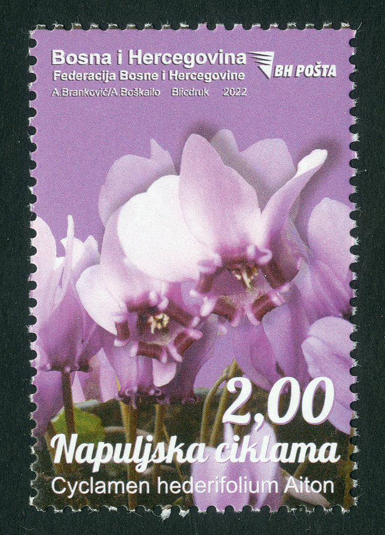 a-special-postage-stamp-flora---neapolitan-cy